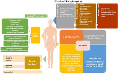 Thiamine deficiency in pregnancy and lactation: implications and present perspectives